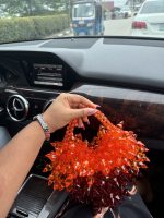 The Aurora Heart - Image 5